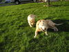 Filename=P1010104.JPG
Filesize=735KB
Dimensions=2048x1536
Date added=May 03, 2007 P1010104.JPG