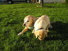 Filename=P1010109.JPG
Filesize=713KB
Dimensions=2048x1536
Date added=May 03, 2007 P1010109.JPG