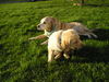 Filename=P1010110.JPG
Filesize=640KB
Dimensions=2048x1536
Date added=May 03, 2007 P1010110.JPG