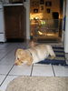 Filename=P1010113.JPG
Filesize=560KB
Dimensions=1536x2048
Date added=May 03, 2007 P1010113.JPG